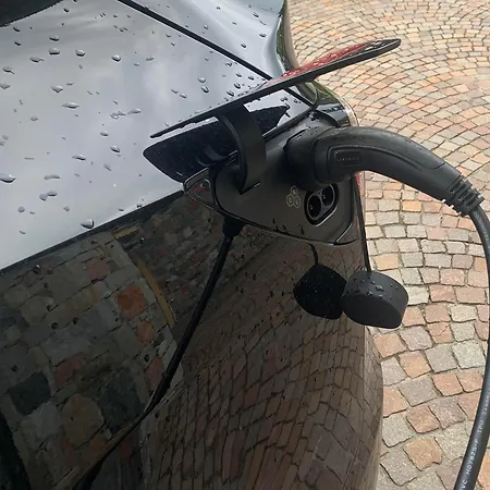 Il Gatto E La Volpe 1 * 科洛迪