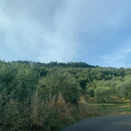 Il Gatto E La Volpe 1 公寓