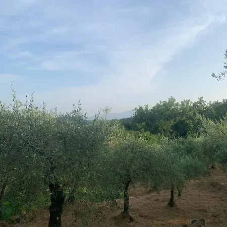 Appartamento Il Gatto E La Volpe 1