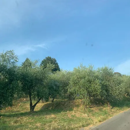 Il Gatto E La Volpe 1 Appartamento