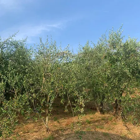 Appartamento Il Gatto E La Volpe 1 *